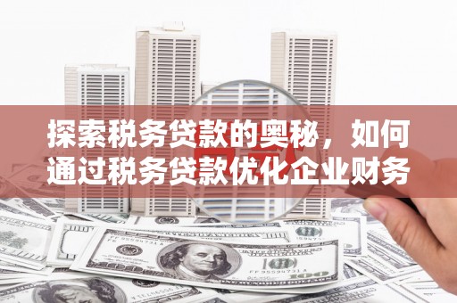 民丰探索税务贷款的奥秘，如何通过税务贷款优化企业财务