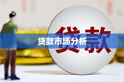 民丰贷款市场分析