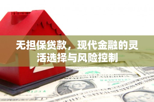 民丰无担保贷款，现代金融的灵活选择与风险控制
