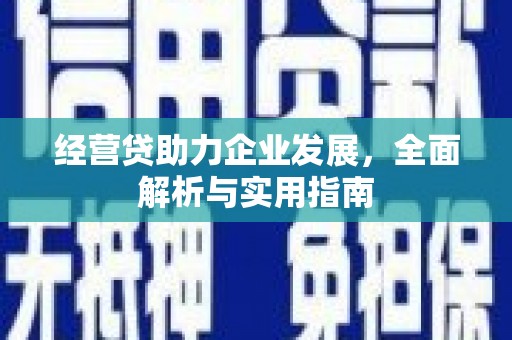 民丰经营贷助力企业发展，全面解析与实用指南