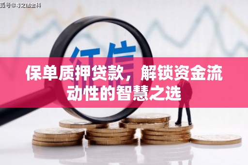 民丰保单质押贷款，解锁资金流动性的智慧之选