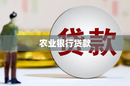 民丰农业银行贷款