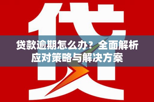 民丰贷款逾期怎么办？全面解析应对策略与解决方案