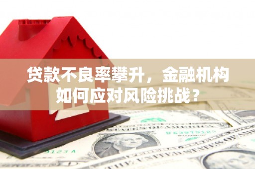 民丰贷款不良率攀升，金融机构如何应对风险挑战？