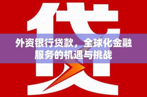 民丰外资银行贷款，全球化金融服务的机遇与挑战