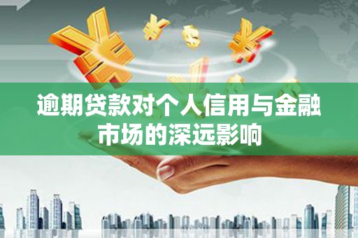 民丰逾期贷款对个人信用与金融市场的深远影响