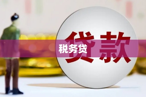 民丰税务贷