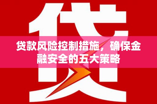 民丰贷款风险控制措施，确保金融安全的五大策略