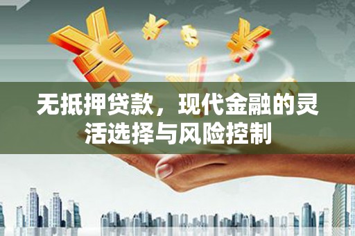 民丰无抵押贷款，现代金融的灵活选择与风险控制