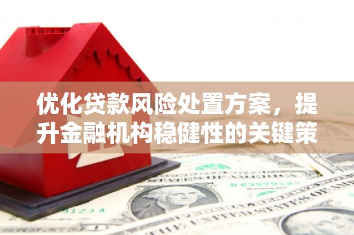 民丰优化贷款风险处置方案，提升金融机构稳健性的关键策略