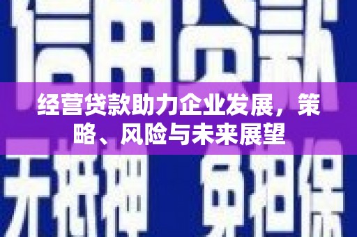 民丰经营贷款助力企业发展，策略、风险与未来展望