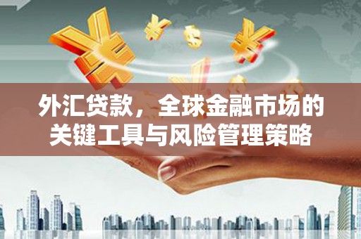 民丰外汇贷款，全球金融市场的关键工具与风险管理策略