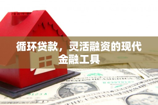 民丰循环贷款，灵活融资的现代金融工具
