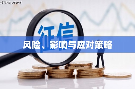 民丰风险、影响与应对策略