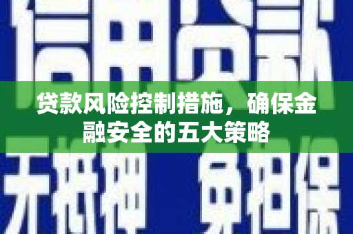 民丰贷款风险控制措施，确保金融安全的五大策略