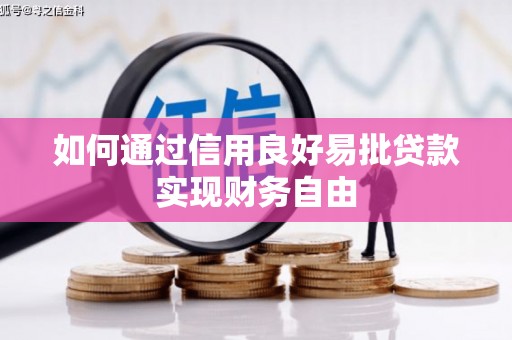 民丰如何通过信用良好易批贷款实现财务自由