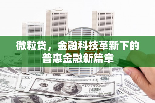 民丰微粒贷，金融科技革新下的普惠金融新篇章