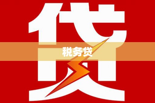 民丰税务贷