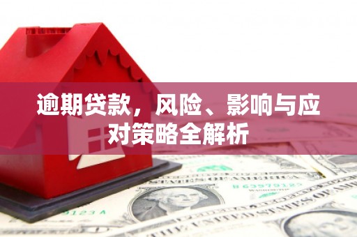 民丰逾期贷款，风险、影响与应对策略全解析