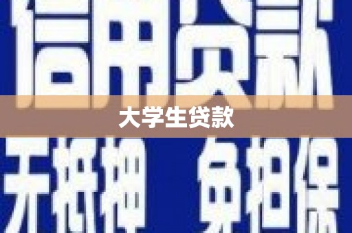 民丰大学生贷款