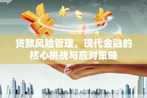 民丰贷款风险管理，现代金融的核心挑战与应对策略