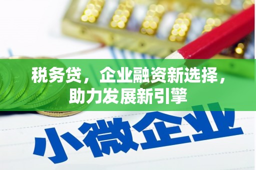 民丰税务贷，企业融资新选择，助力发展新引擎