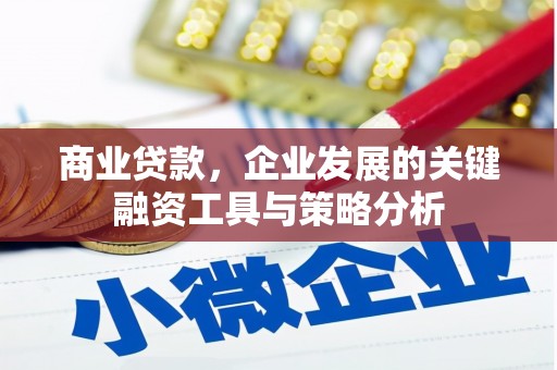 民丰商业贷款，企业发展的关键融资工具与策略分析