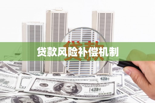 民丰贷款风险补偿机制