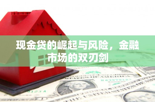 民丰现金贷的崛起与风险，金融市场的双刃剑