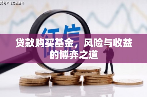 民丰贷款购买基金，风险与收益的博弈之道