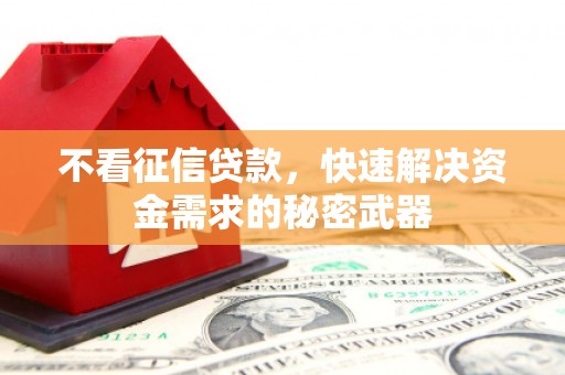 民丰不看征信贷款，快速解决资金需求的秘密武器