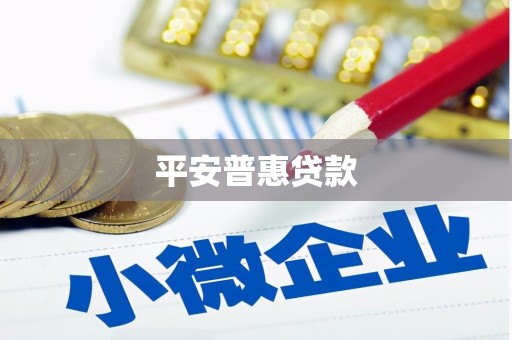 民丰平安普惠贷款