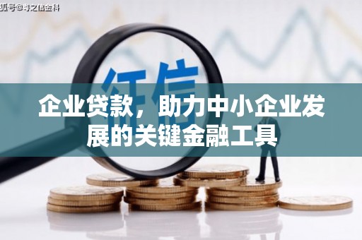 民丰企业贷款，助力中小企业发展的关键金融工具