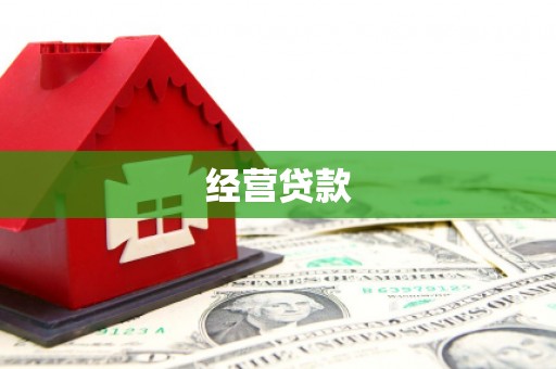 民丰经营贷款