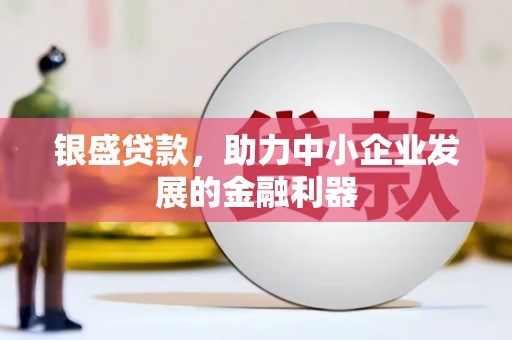 民丰银盛贷款，助力中小企业发展的金融利器