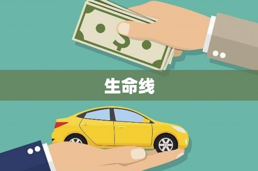 民丰生命线