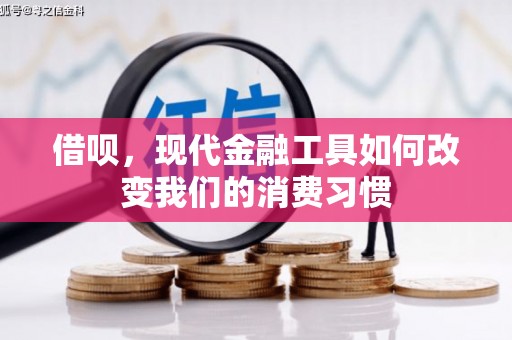 民丰借呗，现代金融工具如何改变我们的消费习惯
