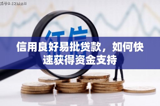 民丰信用良好易批贷款，如何快速获得资金支持