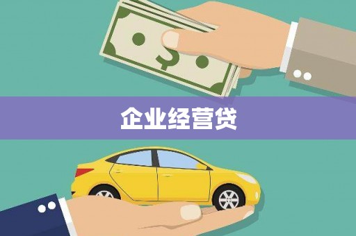 民丰企业经营贷