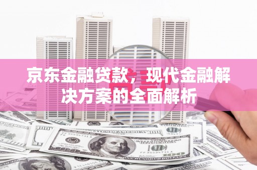 民丰京东金融贷款，现代金融解决方案的全面解析