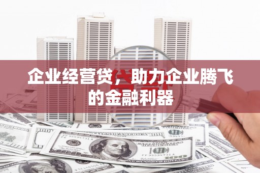 民丰企业经营贷，助力企业腾飞的金融利器