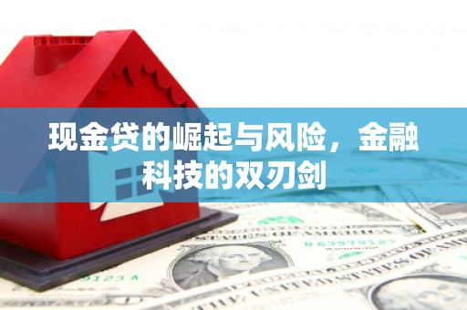 民丰现金贷的崛起与风险，金融科技的双刃剑
