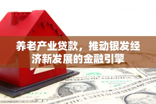 民丰养老产业贷款，推动银发经济新发展的金融引擎