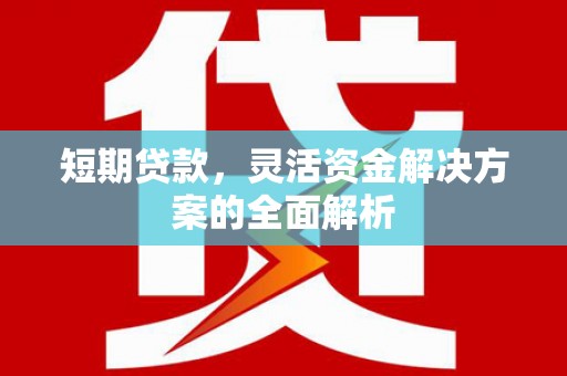 民丰短期贷款，灵活资金解决方案的全面解析