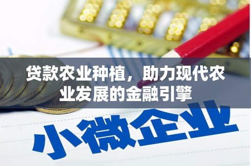 民丰贷款农业种植，助力现代农业发展的金融引擎