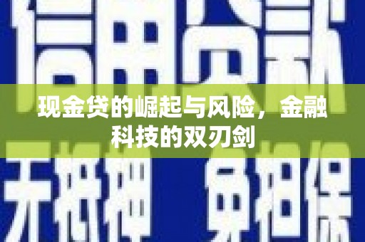 民丰现金贷的崛起与风险，金融科技的双刃剑