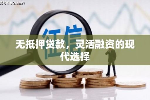 民丰无抵押贷款，灵活融资的现代选择