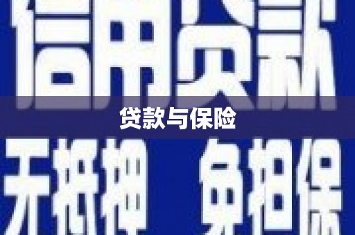 民丰贷款与保险