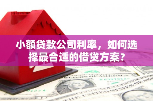 民丰小额贷款公司利率，如何选择最合适的借贷方案？