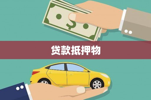 民丰贷款抵押物